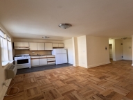 皇后区森林小丘电梯公寓楼明亮统舱出租